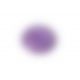 Вибратор для пар FairyGasm PleasureBerry violet, зарядный кейс, пульт ДУ