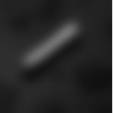Вібратор DOXY BULLET SILVER