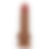 Реалістичний вібратор - Beautiful Encounter Bahamut Vibrator Latin