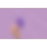 Вибратор для пар FairyGasm PleasureBerry violet, зарядный кейс, пульт ДУ