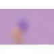 Вибратор для пар FairyGasm PleasureBerry violet, зарядный кейс, пульт ДУ