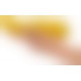 Your New Favourite G-Spot Vibr