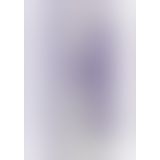 iVibe Select - iRoll вибромассажер 24.13х3.8 см. (розовый)