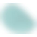 Softies RC Panty Vibrator