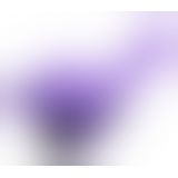 Стимулятор Frisky Panty Pleasure Ergonomic Vibe