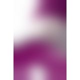 Вібратор з кліторальним стимулятором JOS Loly, з гнучкою голівкою, силікон, фіолетовий, 21,6 см Вібратор з кліторальним стимулятором JOS Loly, з гнучкою голівкою, силікон, фіолетовий, 21,6 см