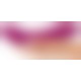 Javida Inflatable Vibrator