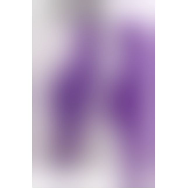 Комп'ютерний вібратор - Rabbit Geisture Purple Vibrator mit Klitorisreizer