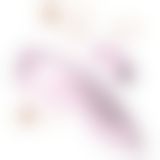 Вибратор в трусики Adrien Lastic Temptation + APP