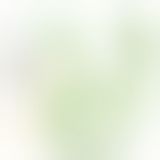 Смарт вибратор-яйцо Leten Elf Baby Green со стимулятором клитора, 2 мотора