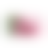 Кліторний стимулятор - OTOUCH Juliet Pink Massager