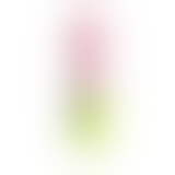 Кліторний стимулятор - OTOUCH Juliet Pink Massager