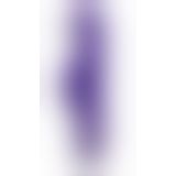 Комп'ютерний вібратор - Rabbit Geisture Purple Vibrator mit Klitorisreizer