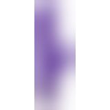 Комп'ютерний вібратор - Rabbit Geisture Purple Vibrator mit Klitorisreizer