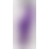 Комп'ютерний вібратор - Rabbit Geisture Purple Vibrator mit Klitorisreizer