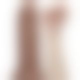 Реалістичний вібратор - King-Sized Realistic Chubby Vibrating Dildo 10.5" Brown