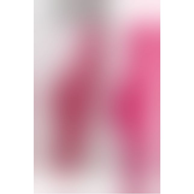 Комп'ютерний вібратор - Rabbit Tres Chic Pink Vibrator mit Klitorisreizer