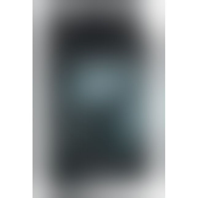 Fetish Fantasy Series Limited Edition Remote Control Vibrating Panties - Black