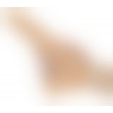 Naked Addiction 7,5 Rot.&Thr. Vib. Dong Van