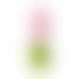 Кліторальний стимулятор - OTOUCH Juliet Pink Massager