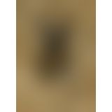 Ексклюзивний вібромасажер Gvibe MINI GOLD з 24К золотом
