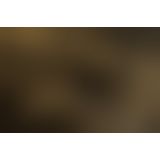 Ексклюзивний вібромасажер Gvibe MINI GOLD з 24К золотом