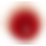 Реалістичний вібратор - Pascha