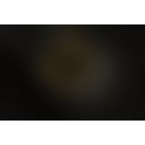 Ексклюзивний вібромасажер Gvibe MINI GOLD з 24К золотом