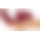 JAVIDA 3 Function Thrusting