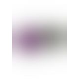 Любовный набор Fantastic Purple Sex Toy Kit