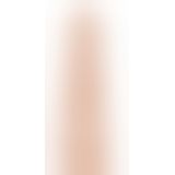 Вібратор - Push it! Вібратор - Push it!