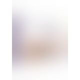 Любовный набор Fantastic Purple Sex Toy Kit