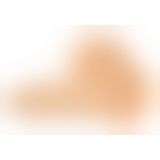 NA 6.5 Thrusting Dong RC Vanil