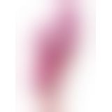 We-Vibe Nova 2 - Универсальный вибратор-кролик со смарт-управлением и гнущимся вагинальным стимулятором, 21.7х3.9 см, (фиолетовый)