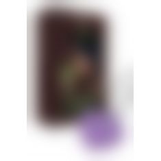 Мини-вибратор «Сердечко» FairyGasm PleasureStone violet, 9 режимов, на шнурке