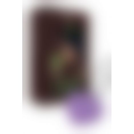 Мінівібратор «Сердечко» FairyGasm PleasureStone violet, 9 режимів, на шнурку