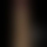 Вібратор - Dual-Layered Silicone Rotator 8" Flesh