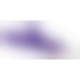 Комп'ютерний вібратор - Rabbit Tres Chic Purple Vibrator mit Klitorisreizer