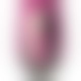 Вібратор-пульсатор Leten Automatical Thrusting Vibrator з підігрівом, що перезаряджається, 10 режимі