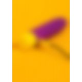 Romp Beat мини вибратор с аккумулятором, 15х3.3 см
