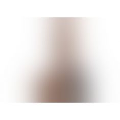 Вібратор TLC® Adam's Cock Vibrating, 22,22х5, 4 см Вібратор TLC® Adam's Cock Vibrating, 22,22х5, 4 см
