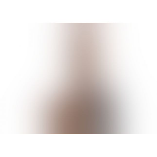 Смуглый вибратор с надежной присоской TLC Adam's Cock Vibrating 22,22 на 5,4 см