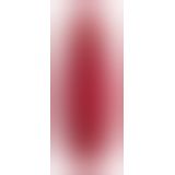 Вакуумный клиторальный стимулятор Womanizer Premium Red