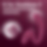 Вагінально-кліторальний вібратор Satisfyer G for Goddess 3 Wine Red, 2 мотори