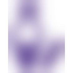 Комп'ютерний вібратор - BeauMents Doppio 2.0 purple Paarvibrator