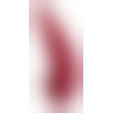Вакуумный клиторальный стимулятор Womanizer Premium Red
