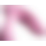 Erica Panty-Vibrator