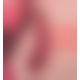 Вакуумный клиторальный стимулятор Womanizer Premium Red