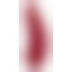 Вакуумный клиторальный стимулятор Womanizer Premium Red