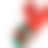 Вибратор-кролик с флоггером LOCKINK SEVANDA Whip Vibrating Massage Wand - Red & Green